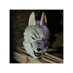 Assort. de 6 Magnets 3D à collectionner - Princesse Mononoké