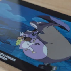 Chemise A4 Promenade noctune - Mon Voisin Totoro