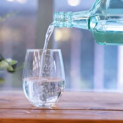 Verre gravé Chatbus - Mon Voisin Totoro