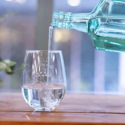 Verre gravé Totoro et gland - Mon Voisin Totoro